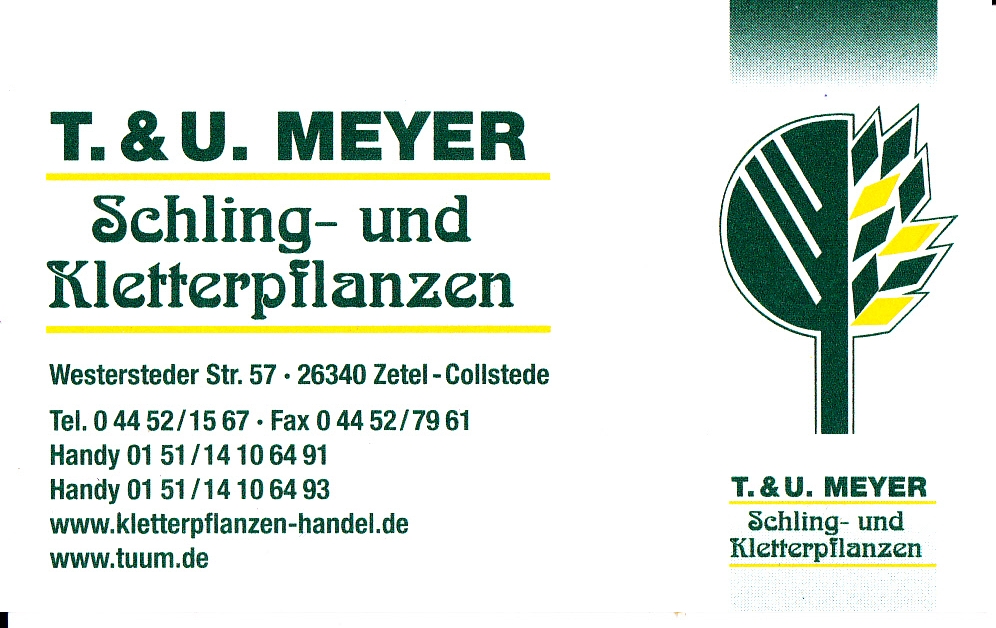 T_U_Meyer